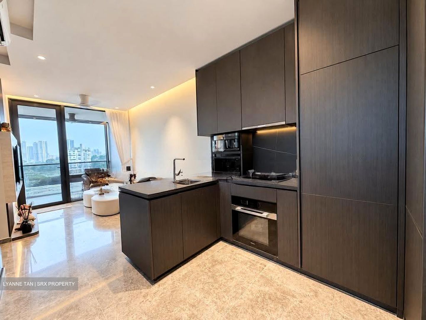 Hyll On Holland (D10), Condominium #631472421